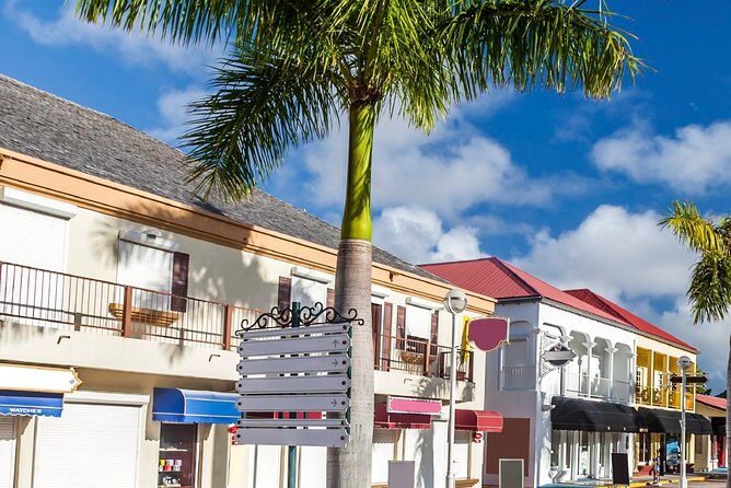 St Maarten Excursion: Island Sightseeing + Beach & Shopping. - Who Should Book This Tour?