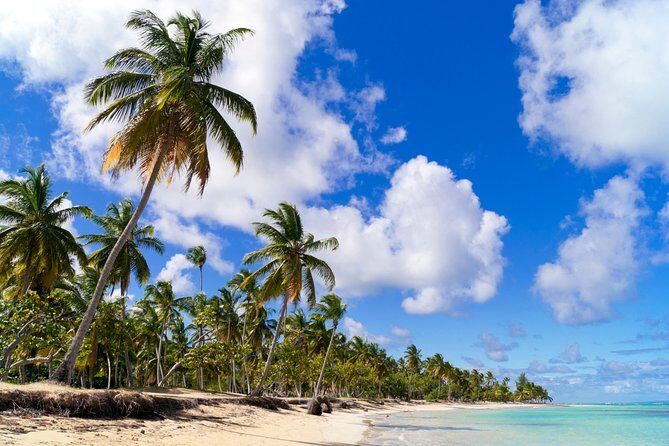 St Maarten Half-Day Trip to Orient and Maho Beach - Transportation and Group Size: Why It Matters