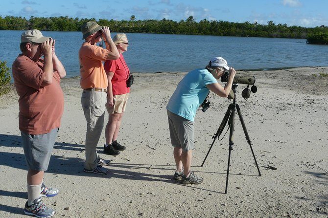 St.Martin - St.Maarten: Small Group, Birding Tour / Bird Watching Tour - Why This Tour Provides Good Value