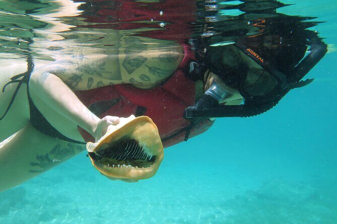 St Thomas Kayak and Sea Turtle Snorkel Excursion - Who Should Consider This Tour?