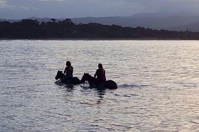 Sunset Beach Horseback Riding - Who Will Love This Tour?