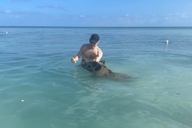 Swim with the Pigs Freeport @Creative Eco Adventures - FAQs