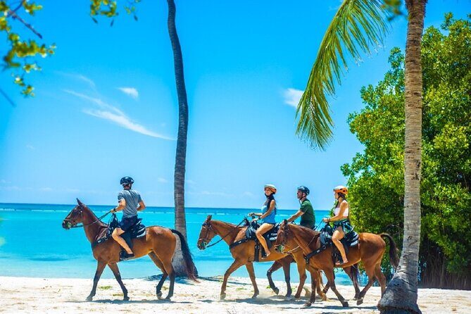 Swimming with Horses at the Beach from Punta Cana Free transportation - What’s Included and What’s Not
