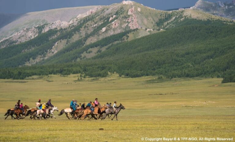 Terelj National Park: Tour with horse riding and hiking - What to Expect from the Tour