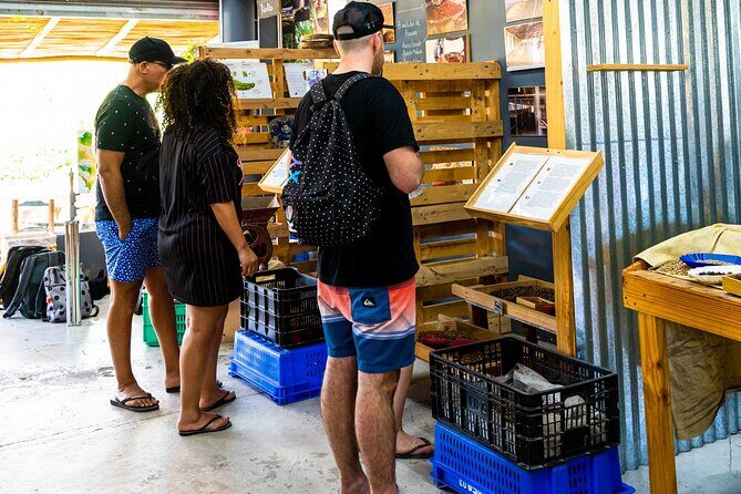 The Coffee Experience - Location and Accessibility