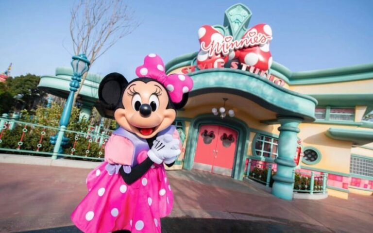Tokyo DisneySea: 1-Day Ticket & Private Transfer - What to Expect on the Day