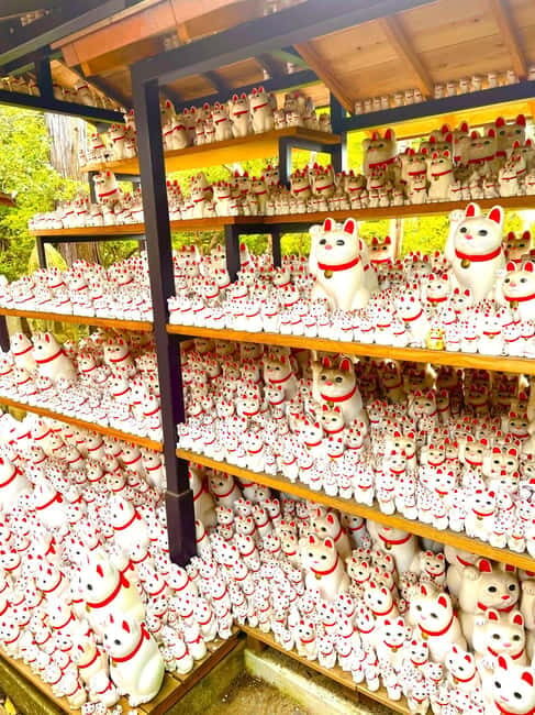 Tokyo: Gotokuji Cat Temple, Shinjuku Cat Cafe & 3D Cat Tour - The Practicalities