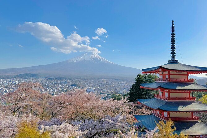 Tokyo: Instagram-Worthy Mt Fuji & Lake Kawaguchiko Day Trip - Who Would Enjoy This Tour?
