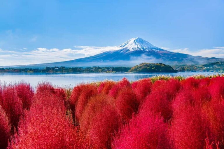 Tokyo: Mt. Fuji, Arakurayama Sengen Park, Oshino Hakkai Tour - Practical Considerations and Tips