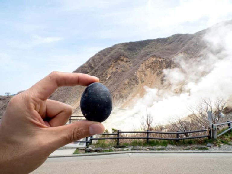 Tokyo: Mt. Fuji, Owakudani, Hakone Shrine, & Open-Air Museum - Analyzing the Value