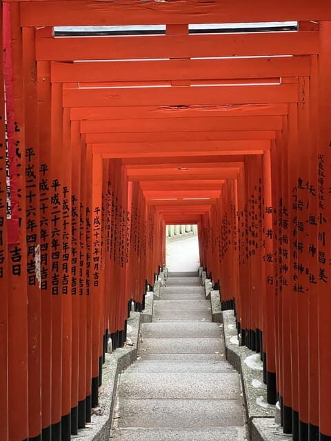 TOKYO Private visit guide Speaking French - Who Should Consider This Tour?
