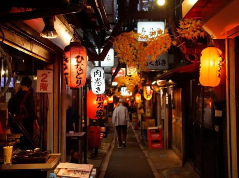Tokyo: Shinjuku Bar and Izakaya Hopping Tour - Itinerary Breakdown: What to Expect