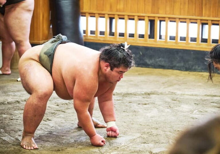 Tokyo: Sumo Morning Practice Viewing Tour at a Real Stable - The Value of This Experience