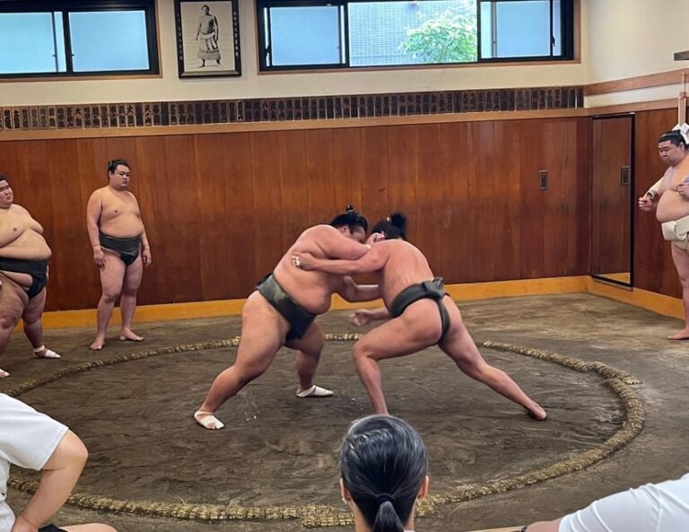 Tokyo: Sumo Morning Practice with Photo Banzuke and Guide - Final Thoughts