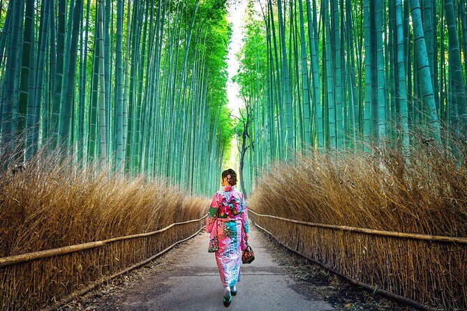 Tokyo to Kyoto 1-Full Day Private Guided Tour - Managing Costs and Logistics