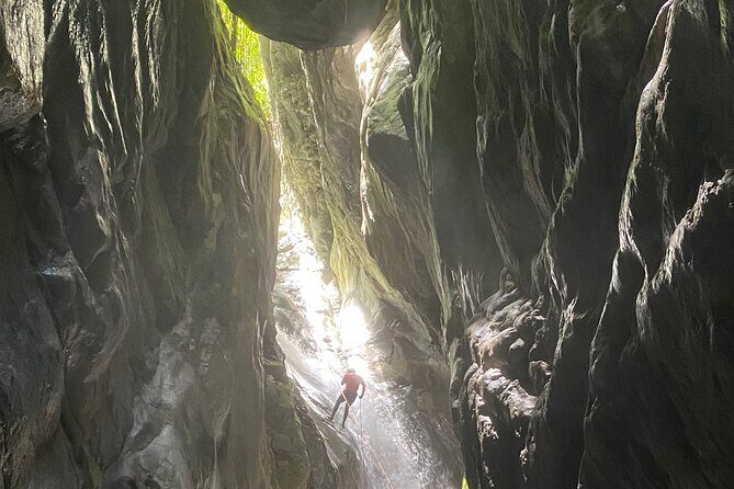 Trekking/rappelling waterfalls in Dominican Republic - The Real Value: What Makes This Tour Stand Out?