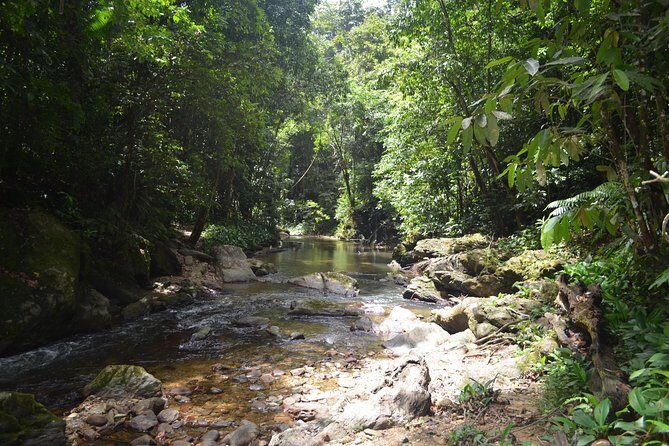 Trinidad Rainforest Hike to Waterfall - Transportation and Comfort