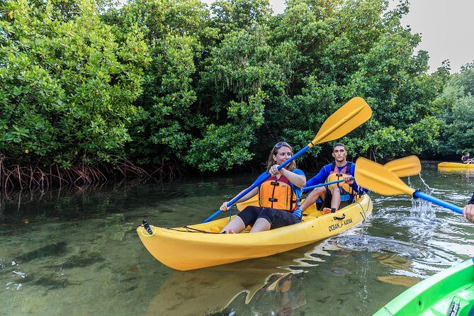 Trio Tour: El Yunque, Luquillo Beach, and Bio Bay Night Kayaking - Real Traveler Insights and Tips