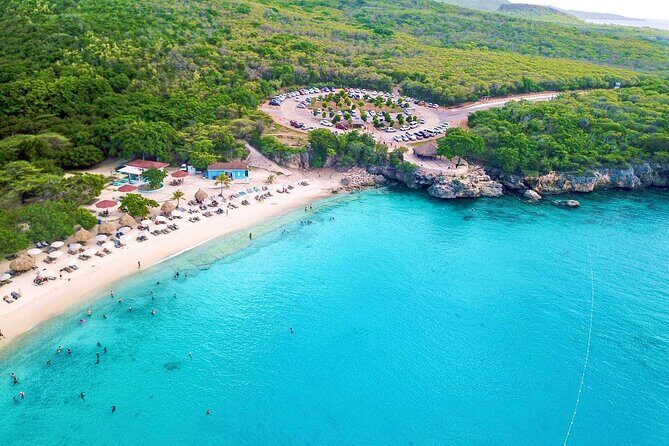 Turtle Swim at TurtleBay visit Flamingos & KnipBeach Safari Truck - Who Is This Tour Best For?