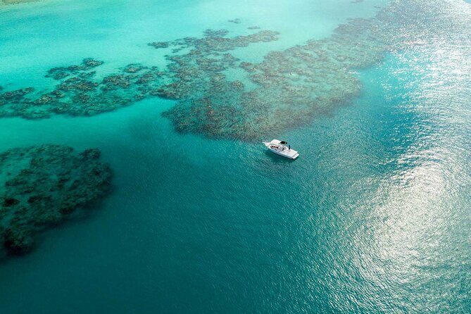 Two Stop Snorkel and Shipwreck from Dockyard - What Past Participants Say