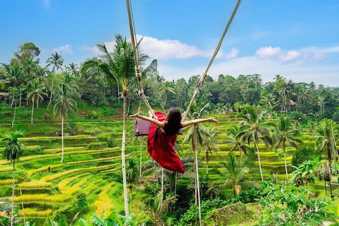 Ubud All-Inclusive Tour with Swing and Lunch - The Itinerary: A Closer Look at Each Stop