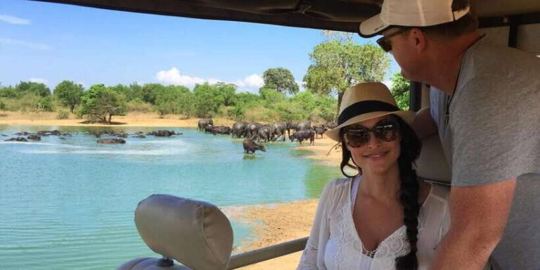 Udawalawa National Park: All-Inclusive Private Day Tour - The Value of This Tour