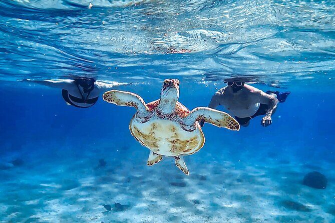 VIP Private Island & Snorkeling Tour  South Bonaire - A Deep Dive into the Bonaire Experience