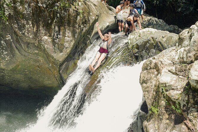 VIP Small Group El Yunque Rainforest Adventure - Transportation and Group Dynamics