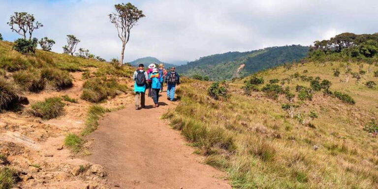 Visit Horton plains and Nuwara Eliya from Ella - The Itinerary in Detail