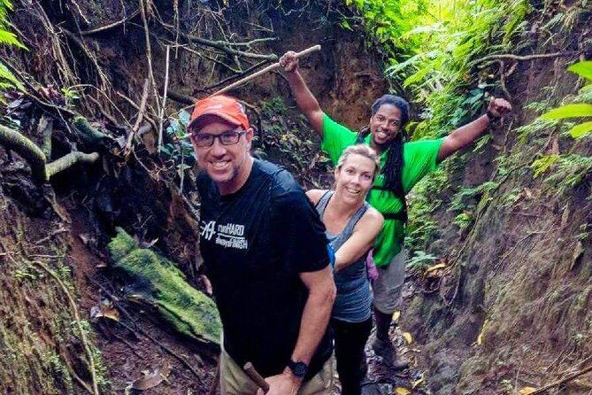 Volcano Crater Hiking Tour in St Kitts - Detailed Itinerary Breakdown