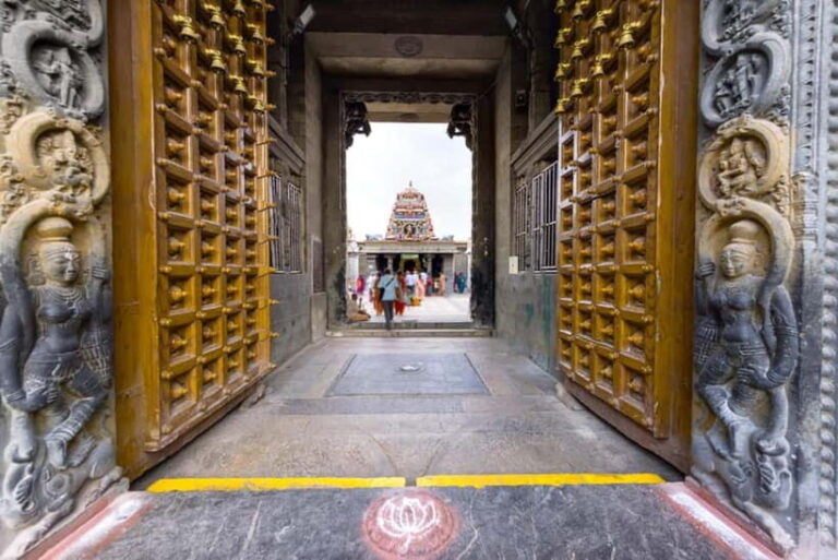 Walk and Explore Chennai City: Guided Tour by Foot - Authentic Experiences and Local Flavor