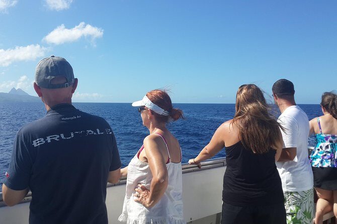Whale Watching and Dolphin Spotting Cruise - Final Thoughts: Is It Worth It?