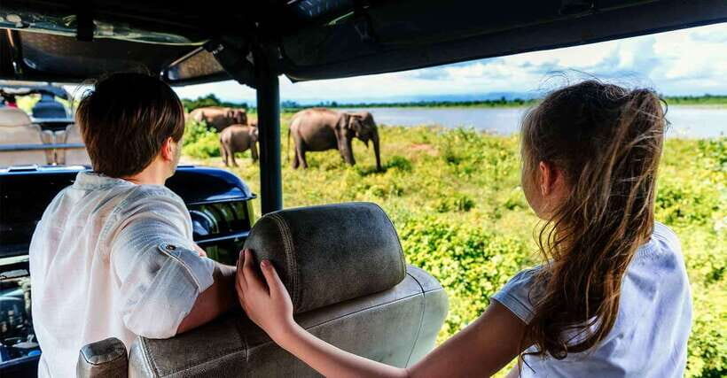 Yala National Park Half or Full-Day Safari - A Practical Overview of the Tour