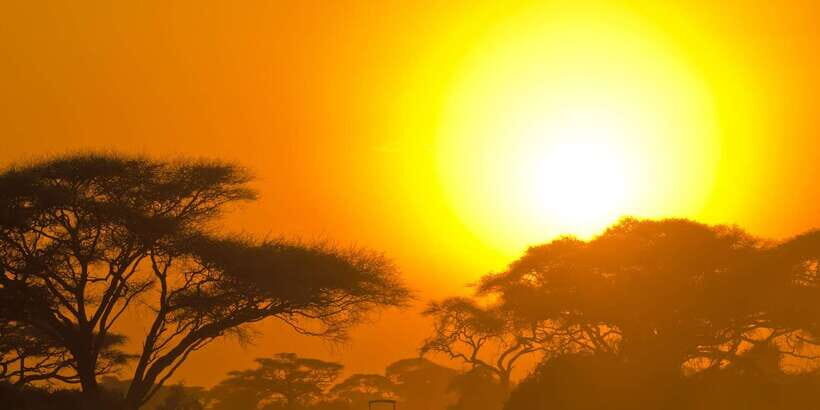 Yala National Park: Safari Experience at Dawn or Dusk - Who Should Book This Tour?