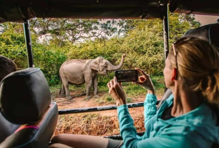Yala Safari Morning/Evening, 7hours & 12 hours incl. Meals!! - Who Will Love This Safari?