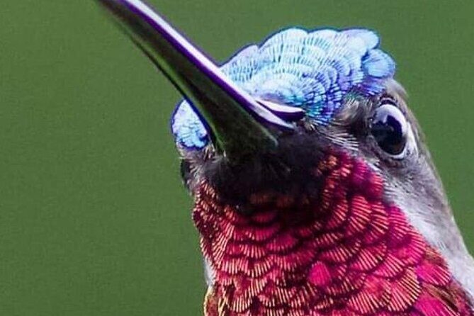 Yerette Home of the Hummingbird - Practical Tips for Your Visit