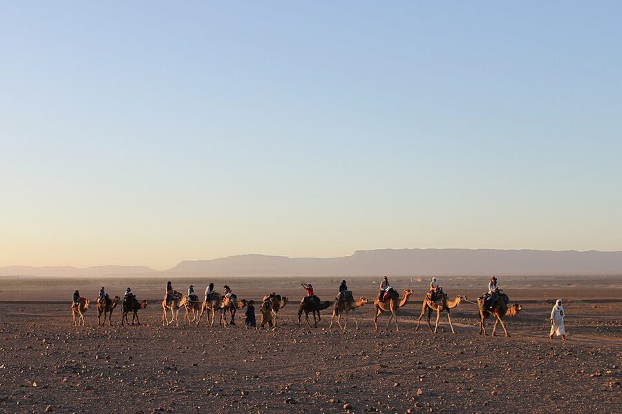Camel train of tourists on the way to a desert camp near Zagora Morocco