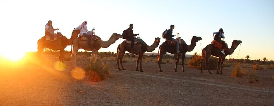 Sunrise on desert camel trek Zagora Morocco