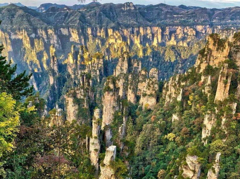 Zhangjiajie: Highlights Tour with Glass Bridge & Cable Car - Who Will Love This Tour?
