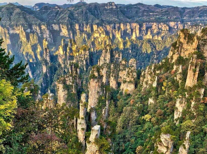 Zhangjiajie: Highlights Tour with Glass Bridge & Cable Car - Who Will Love This Tour?