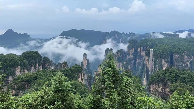 Zhangjiajie National Forest Park: Private Tour and Transport - What You Can Expect on this Tour