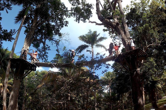 Zip Line over the Dunns River Falls - The Transportation and Logistics