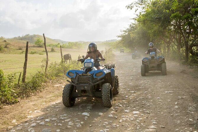 Zip-lining/Horseback Rides/Cat & Atv Inclusive Act with Transpo From Montego Bay - The Sum Up