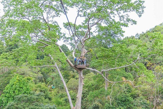 Zipline 18 Platforms and ATV Adventure Tour From Phuket - Authentic Experiences & Real Traveler Insights