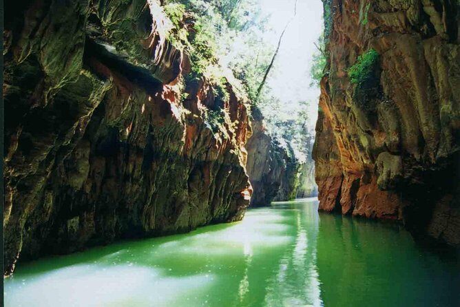 1 Day Stone Forest & Jiuxiang Cave Tour - Exploring Jiuxiang Scenic Region