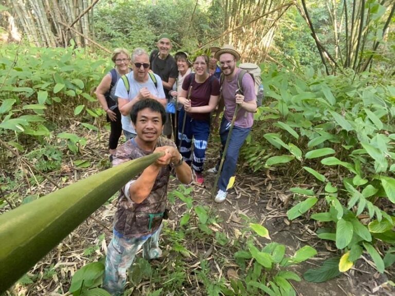 1 Day trekking : Chiang Rai popular activity,Fun in Nature. - Authenticity and Local Flavor: What Sets This Tour Apart
