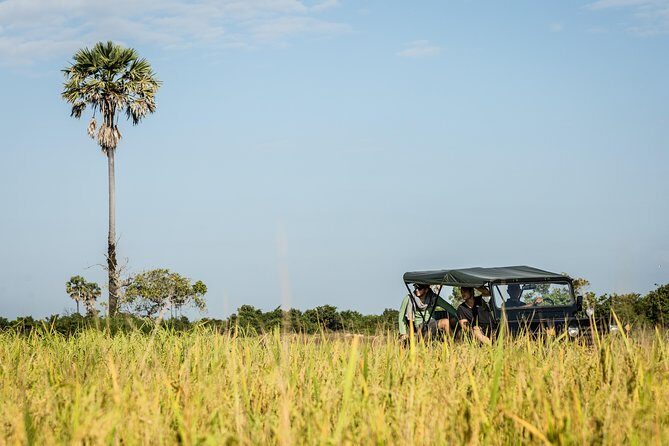 2-Day : Angkor Sunrise, Kompong Phluk Sunset & Banteay Srei Tour - What Makes This Tour Stand Out?