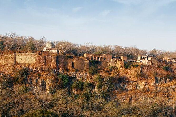2 Days Ranthambore Tiger Safari with Tickets - FAQs