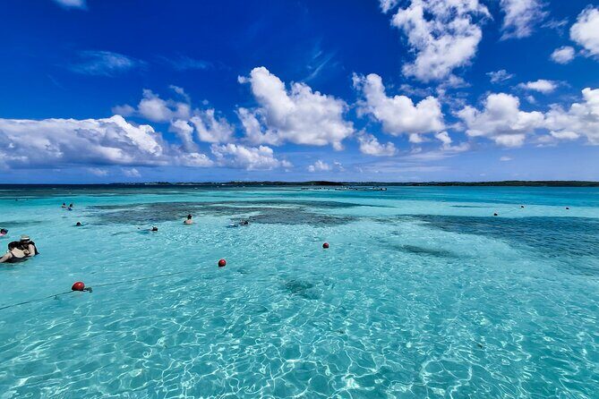 3-Hours Eye-Opening Stingray City Antigua - Transfer R/T included - The Value of This Experience