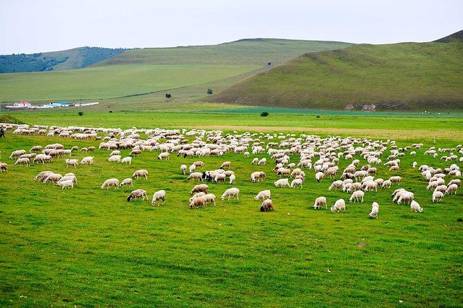 4 Days Tour: Central Mongolia - Waterfall Wonders and Natural Beauty